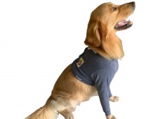 Protetores P/ Membros Anteriores N.3 